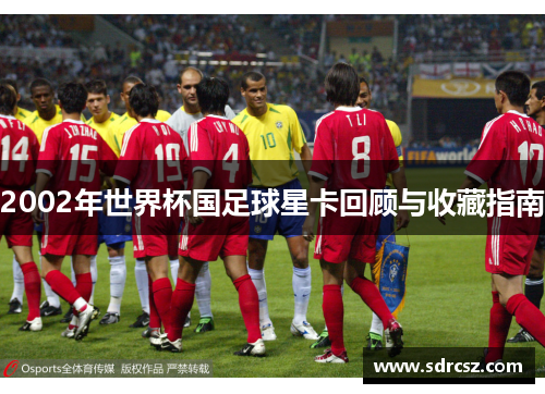 2002年世界杯国足球星卡回顾与收藏指南