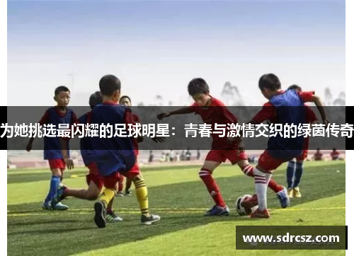 为她挑选最闪耀的足球明星：青春与激情交织的绿茵传奇
