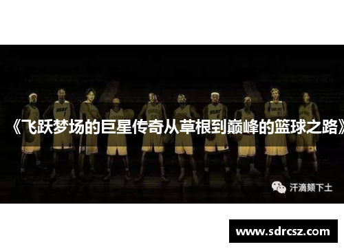 《飞跃梦场的巨星传奇从草根到巅峰的篮球之路》