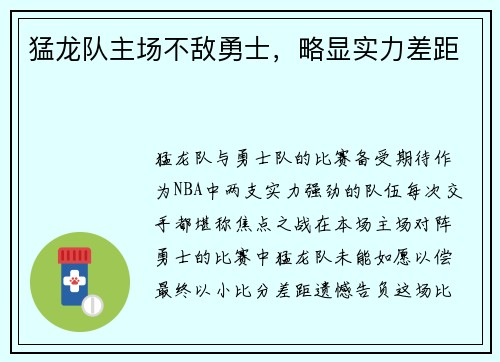 猛龙队主场不敌勇士，略显实力差距